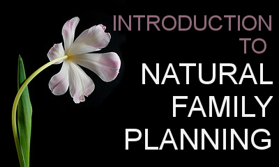Introduction to Natural Family Planning